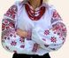 Блуза жіноча з комірцем "Забаганка" 4383 фото 1